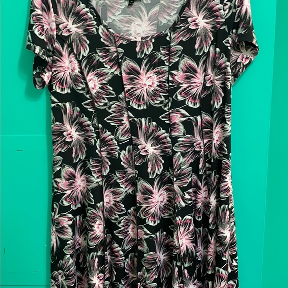 CATOs Fashion! Worn once! - Picture 2 of 4